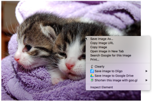 The pop-up menu lets you save images to Google Drive easily. (Image from Pixabay)